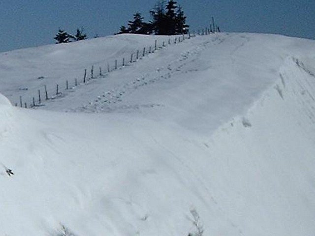 Eremo-4Feb-01
